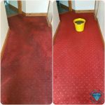 carpet cleaning