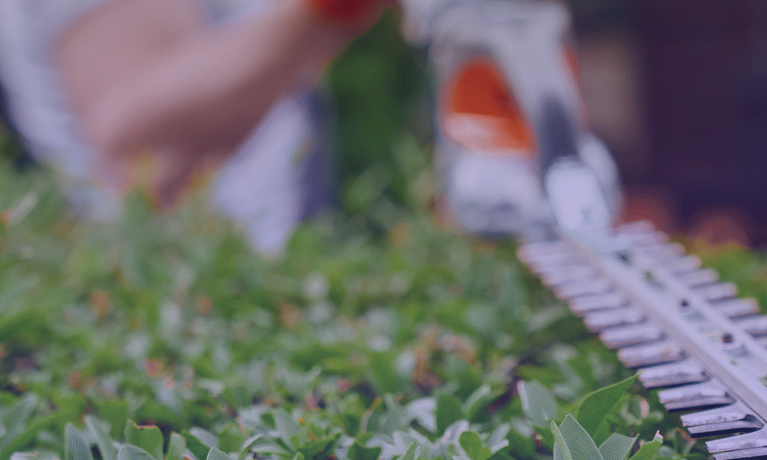 Best Landscaping Services in Cork