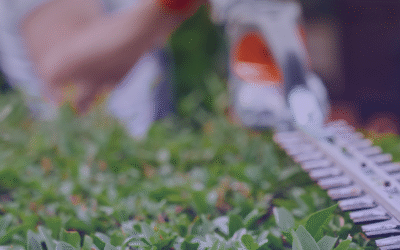 Best Landscaping Services in Cork