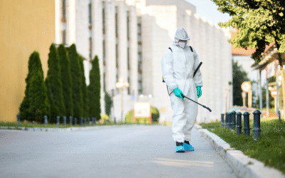 Best Pest Control Services in Dublin