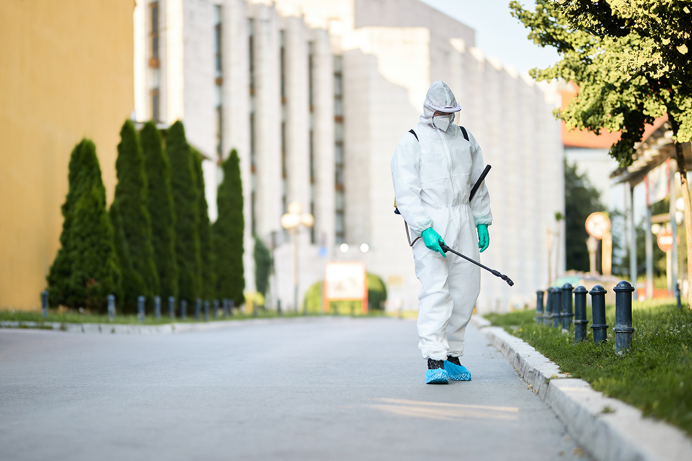 Best Pest Control Services in Dublin
