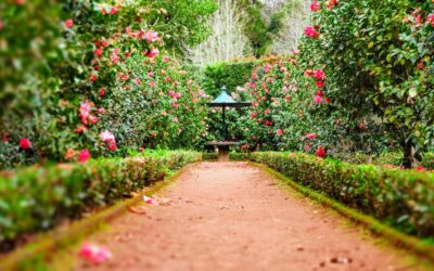 Best Garden Centres in Waterford (Our Top Picks)